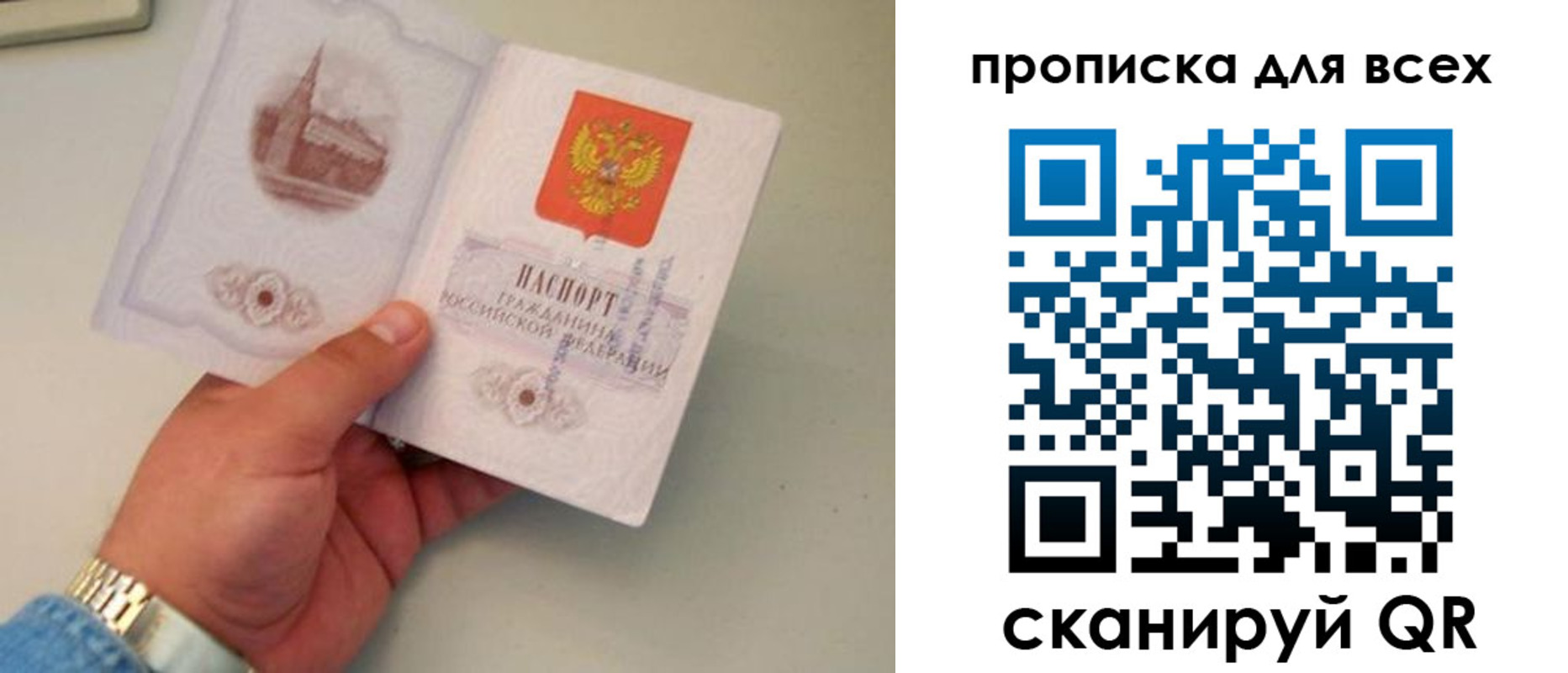 временная регистрация недорого в Камчатской области